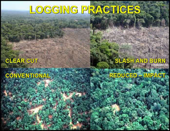 Logging practices